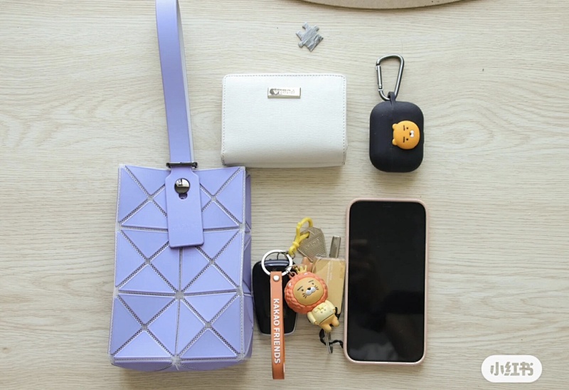 Issey Miyake iPhone case BAG