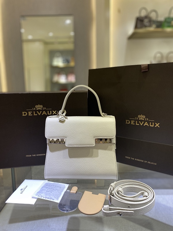 Delvaux BAG-144410158