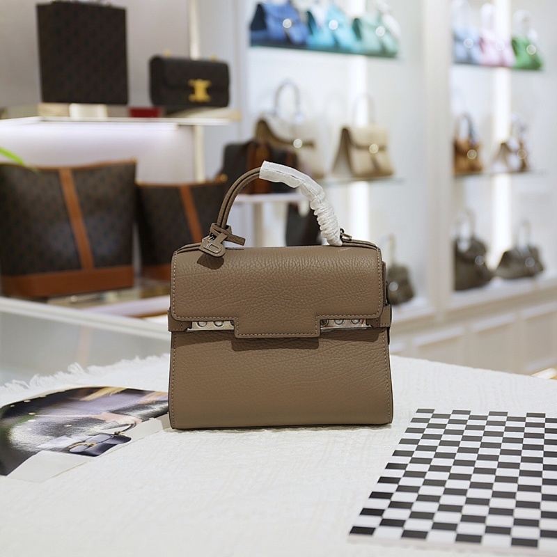 Delvaux New Small size bag