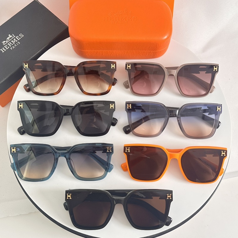 Hermes P350 H8024