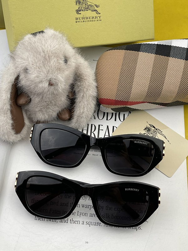 Burberry P280 B454