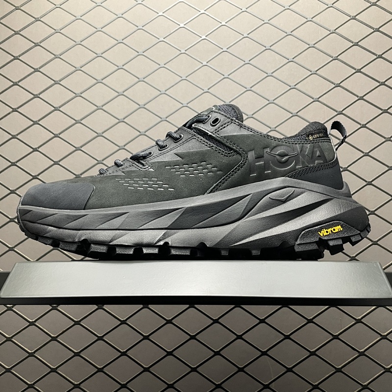 Hoka GTX1118586-174481058
