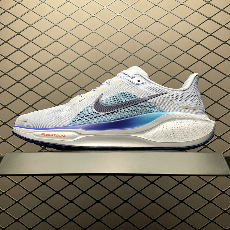 NIKE PEGASUS41-197825615